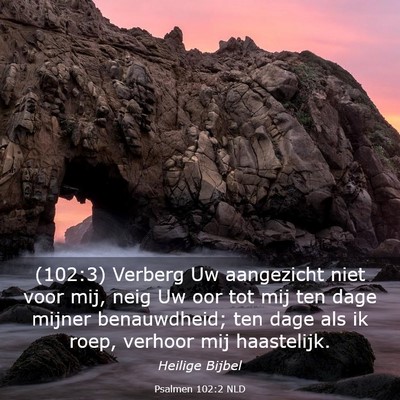 Picture 03 - Psalmen 102:2 NLD - (102:3) Verberg Uw aangezicht niet voor mij, neig - Bible Verse Picture