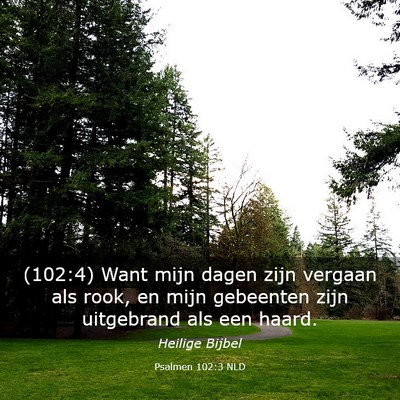 Picture 03 - Psalmen 102:3 NLD - (102:4) Want mijn dagen zijn vergaan als rook, en - Bible Verse Picture