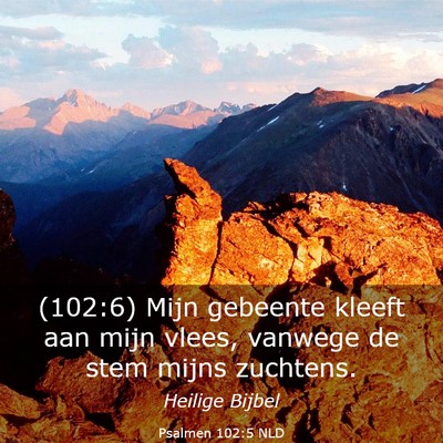 Picture 03 - Psalmen 102:5 NLD - (102:6) Mijn gebeente kleeft aan mijn vlees, - Bible Verse Picture