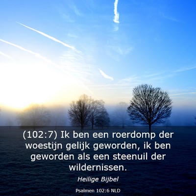 Picture 03 - Psalmen 102:6 NLD - (102:7) Ik ben een roerdomp der woestijn gelijk - Bible Verse Picture