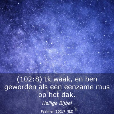 Picture 03 - Psalmen 102:7 NLD - (102:8) Ik waak, en ben geworden als een eenzame - Bible Verse Picture