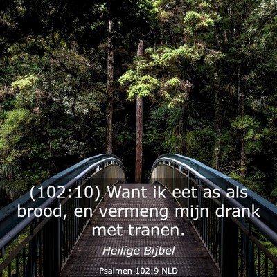 Picture 03 - Psalmen 102:9 NLD - (102:10) Want ik eet as als brood, en vermeng - Bible Verse Picture