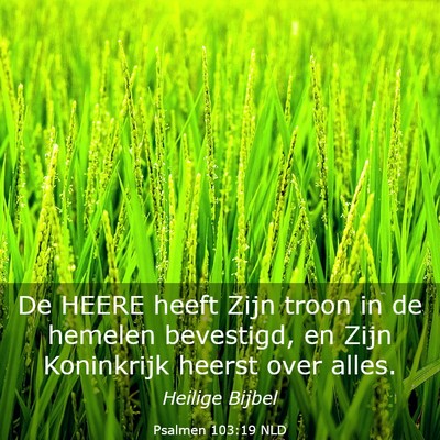 Picture 03 - Psalmen 103:19 NLD - De HEERE heeft Zijn troon in de hemelen - Bible Verse Picture
