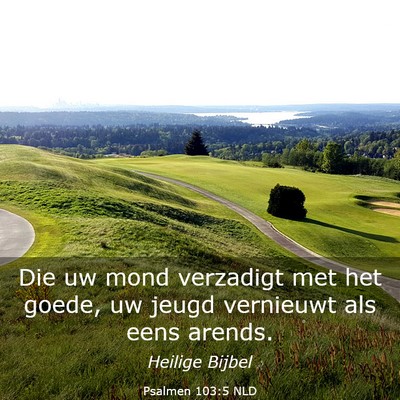 Picture 03 - Psalmen 103:5 NLD - Die uw mond verzadigt met het goede, uw jeugd - Bible Verse Picture
