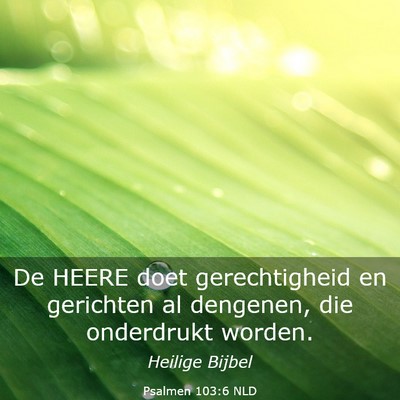 Picture 03 - Psalmen 103:6 NLD - De HEERE doet gerechtigheid en gerichten al - Bible Verse Picture
