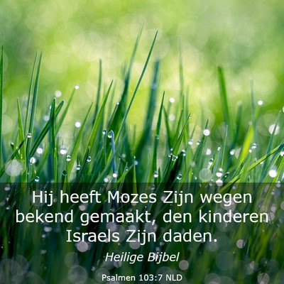 Picture 03 - Psalmen 103:7 NLD - Hij heeft Mozes Zijn wegen bekend gemaakt, den - Bible Verse Picture