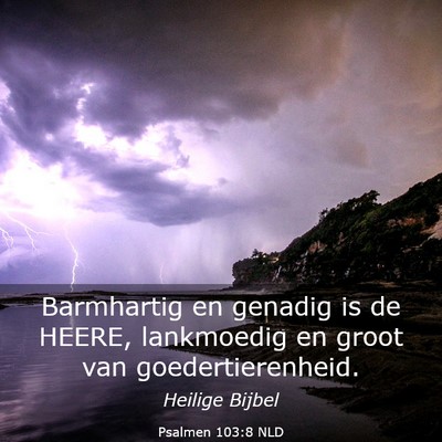 Picture 03 - Psalmen 103:8 NLD - Barmhartig en genadig is de HEERE, lankmoedig en - Bible Verse Picture
