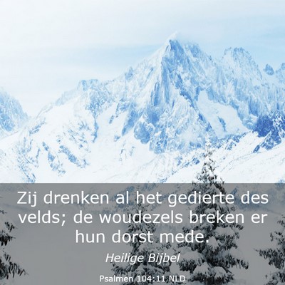 Picture 03 - Psalmen 104:11 NLD - Zij drenken al het gedierte des velds; de - Bible Verse Picture