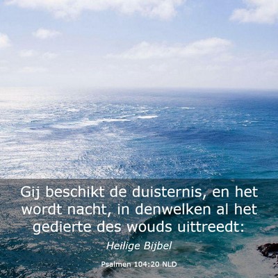 Picture 03 - Psalmen 104:20 NLD - Gij beschikt de duisternis, en het wordt nacht, - Bible Verse Picture
