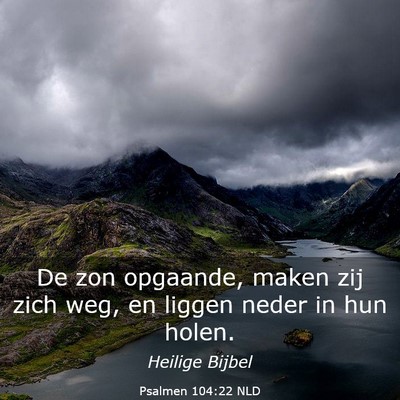 Picture 03 - Psalmen 104:22 NLD - De zon opgaande, maken zij zich weg, en liggen - Bible Verse Picture