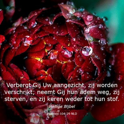 Picture 03 - Psalmen 104:29 NLD - Verbergt Gij Uw aangezicht, zij worden - Bible Verse Picture