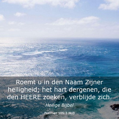 Picture 03 - Psalmen 105:3 NLD - Roemt u in den Naam Zijner heiligheid; het hart - Bible Verse Picture