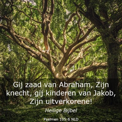 Picture 03 - Psalmen 105:6 NLD - Gij zaad van Abraham, Zijn knecht, gij kinderen - Bible Verse Picture