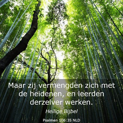 Picture 03 - Psalmen 106:35 NLD - Maar zij vermengden zich met de heidenen, en - Bible Verse Picture