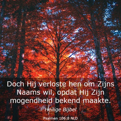 Picture 03 - Psalmen 106:8 NLD - Doch Hij verloste hen om Zijns Naams wil, opdat - Bible Verse Picture