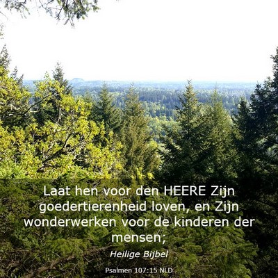 Picture 03 - Psalmen 107:15 NLD - Laat hen voor den HEERE Zijn goedertierenheid - Bible Verse Picture
