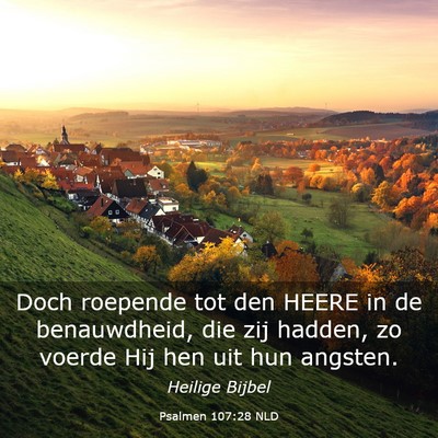 Picture 03 - Psalmen 107:28 NLD - Doch roepende tot den HEERE in de benauwdheid, - Bible Verse Picture