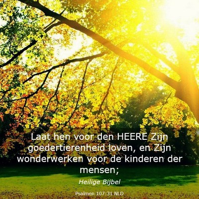 Picture 03 - Psalmen 107:31 NLD - Laat hen voor den HEERE Zijn goedertierenheid - Bible Verse Picture