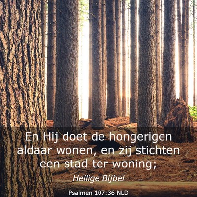 Picture 03 - Psalmen 107:36 NLD - En Hij doet de hongerigen aldaar wonen, en zij - Bible Verse Picture