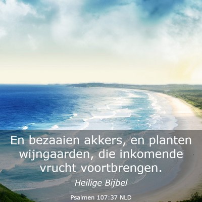 Picture 03 - Psalmen 107:37 NLD - En bezaaien akkers, en planten wijngaarden, die - Bible Verse Picture