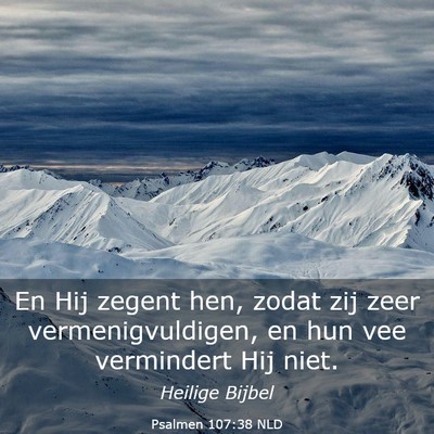 Picture 03 - Psalmen 107:38 NLD - En Hij zegent hen, zodat zij zeer - Bible Verse Picture