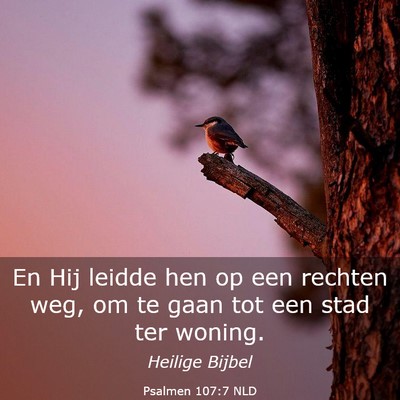 Picture 03 - Psalmen 107:7 NLD - En Hij leidde hen op een rechten weg, om te gaan - Bible Verse Picture