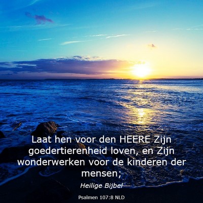 Picture 03 - Psalmen 107:8 NLD - Laat hen voor den HEERE Zijn goedertierenheid - Bible Verse Picture