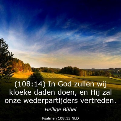 Picture 03 - Psalmen 108:13 NLD - (108:14) In God zullen wij kloeke daden doen, en - Bible Verse Picture