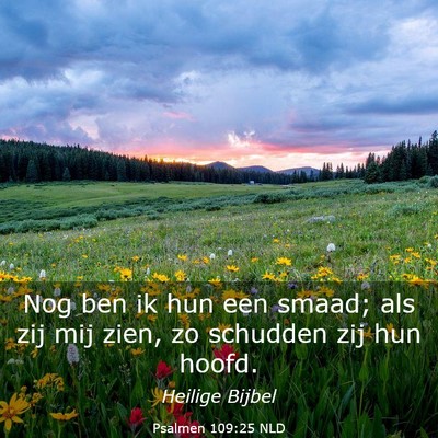 Picture 03 - Psalmen 109:25 NLD - Nog ben ik hun een smaad; als zij mij zien, zo - Bible Verse Picture
