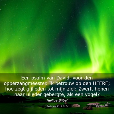 Picture 03 - Psalmen 11:1 NLD - Een psalm van David, voor den opperzangmeester. - Bible Verse Picture