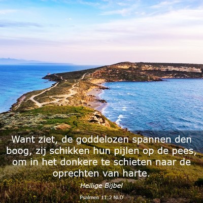 Picture 03 - Psalmen 11:2 NLD - Want ziet, de goddelozen spannen den boog, zij - Bible Verse Picture