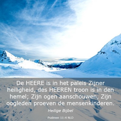 Picture 03 - Psalmen 11:4 NLD - De HEERE is in het paleis Zijner heiligheid, des - Bible Verse Picture