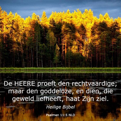 Picture 03 - Psalmen 11:5 NLD - De HEERE proeft den rechtvaardige; maar den - Bible Verse Picture