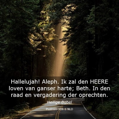 Picture 03 - Psalmen 111:1 NLD - Hallelujah! Aleph. Ik zal den HEERE loven van - Bible Verse Picture