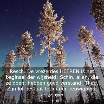 Picture 03 - Psalmen 111:10 NLD - Resch. De vreze des HEEREN is het beginsel der - Bible Verse Picture