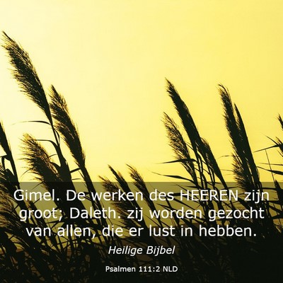 Picture 03 - Psalmen 111:2 NLD - Gimel. De werken des HEEREN zijn groot; Daleth. - Bible Verse Picture