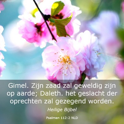 Picture 03 - Psalmen 112:2 NLD - Gimel. Zijn zaad zal geweldig zijn op aarde; - Bible Verse Picture