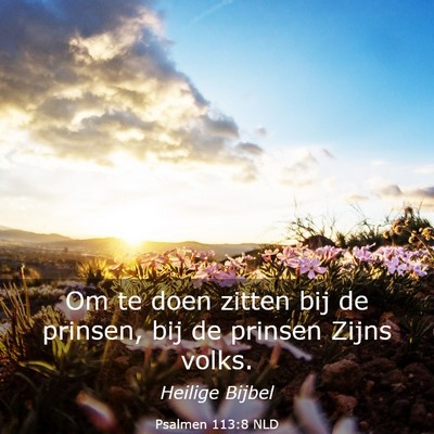 Picture 03 - Psalmen 113:8 NLD - Om te doen zitten bij de prinsen, bij de prinsen - Bible Verse Picture