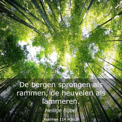 Picture 03 - Psalmen 114:4 NLD - De bergen sprongen als rammen, de heuvelen als - Bible Verse Picture