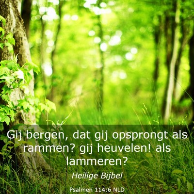 Picture 03 - Psalmen 114:6 NLD - Gij bergen, dat gij opsprongt als rammen? gij - Bible Verse Picture