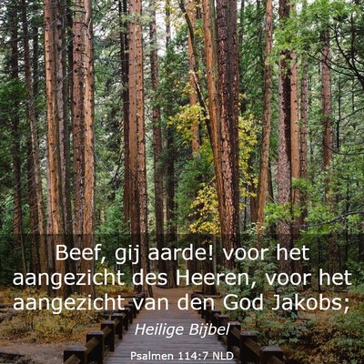 Picture 03 - Psalmen 114:7 NLD - Beef, gij aarde! voor het aangezicht des Heeren, - Bible Verse Picture