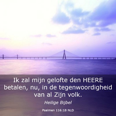 Picture 03 - Psalmen 116:18 NLD - Ik zal mijn gelofte den HEERE betalen, nu, in de - Bible Verse Picture