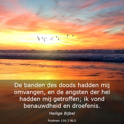 Picture 03 - Psalmen 116:3 NLD - De banden des doods hadden mij omvangen, en de - Bible Verse Picture