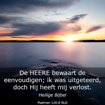 Picture 03 - Psalmen 116:6 NLD - De HEERE bewaart de eenvoudigen; ik was - Bible Verse Picture