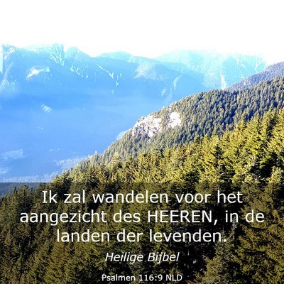 Picture 03 - Psalmen 116:9 NLD - Ik zal wandelen voor het aangezicht des HEEREN, - Bible Verse Picture
