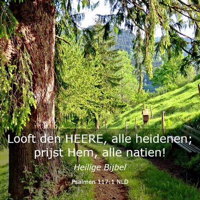 Picture 03 - Psalmen 117:1 NLD - Looft den HEERE, alle heidenen; prijst Hem, alle - Bible Verse Picture