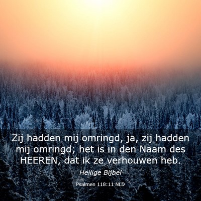 Picture 03 - Psalmen 118:11 NLD - Zij hadden mij omringd, ja, zij hadden mij - Bible Verse Picture