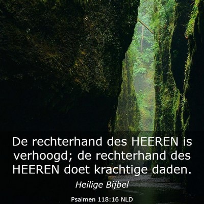 Picture 03 - Psalmen 118:16 NLD - De rechterhand des HEEREN is verhoogd; de - Bible Verse Picture