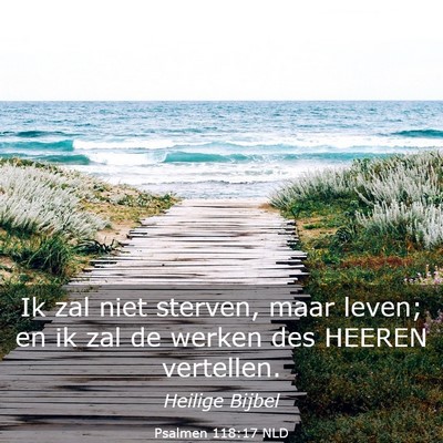 Picture 03 - Psalmen 118:17 NLD - Ik zal niet sterven, maar leven; en ik zal de - Bible Verse Picture