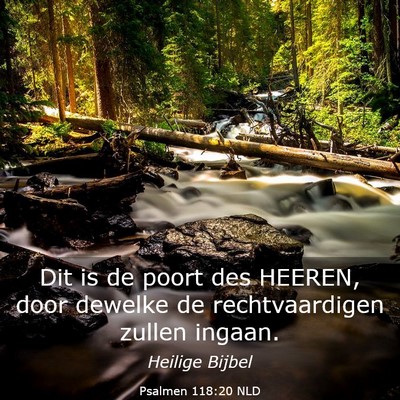 Picture 03 - Psalmen 118:20 NLD - Dit is de poort des HEEREN, door dewelke de - Bible Verse Picture